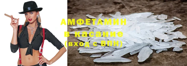 гидра Арсеньев