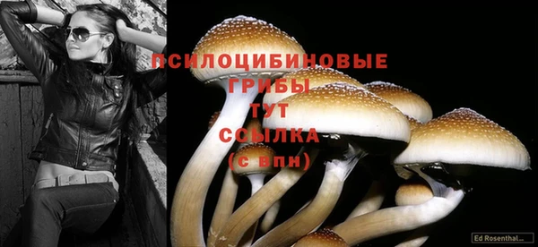 гидра Арсеньев