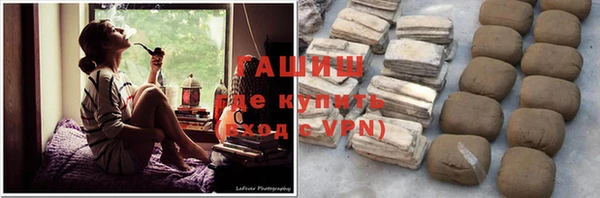 гидра Арсеньев