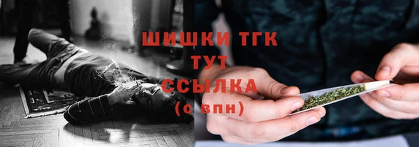 гидра Арсеньев