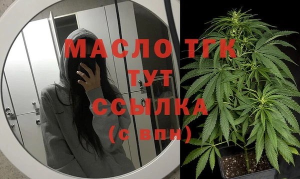 гидра Арсеньев