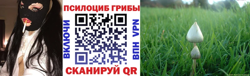 магазин продажи наркотиков  Шлиссельбург  Галлюциногенные грибы прущие грибы 